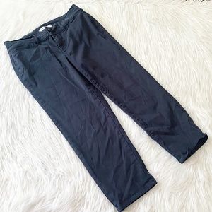 Lila Ryan Blue Crop Pant